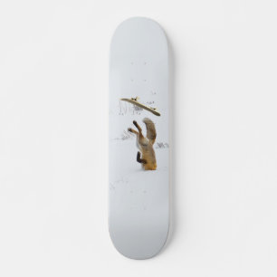 Skateboard Renard
