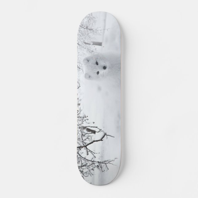 Skateboard Renard des neiges dans les bois d'hiver (Recto)