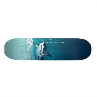 Skateboard requin