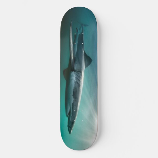 Skateboard Requin affamé Predator. (Recto)