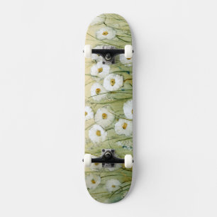 Skateboard Ressort I de marguerite