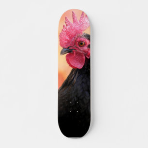 Skateboard Rooster