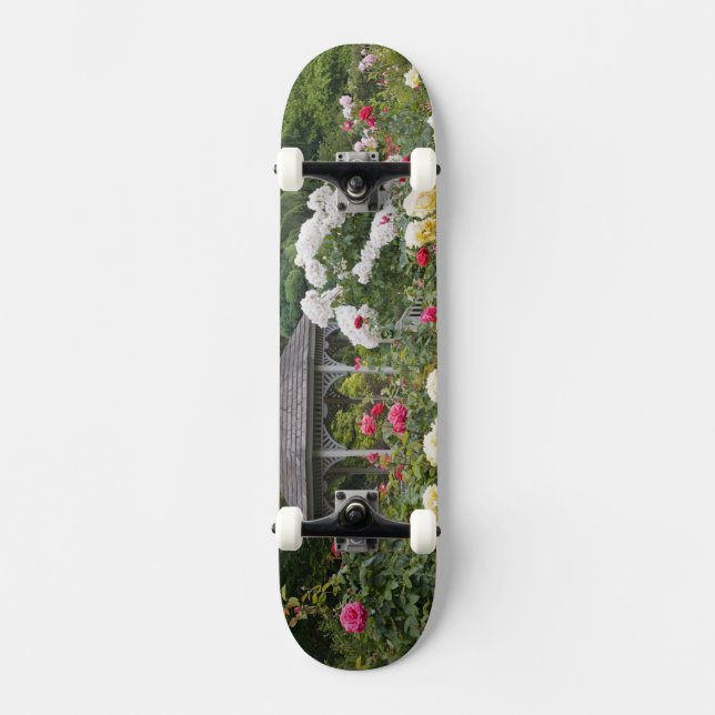Skateboard Roses en fleurs et jardin des Roses de Gazebo (Recto)