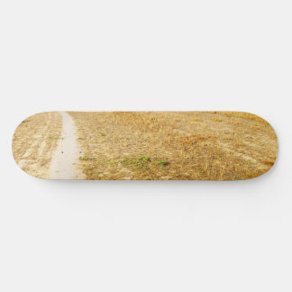 Skateboard Route vers Sansol