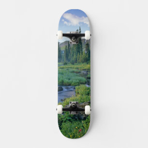 Skateboard Ruisseau Picnic dans le Jewel Basin de Swan