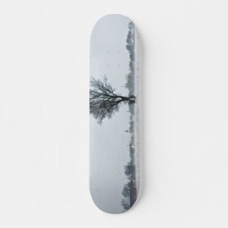 Skateboard Rural winter road