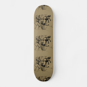 Skateboard Sagittarius Constellation Carte Hevelius 1690