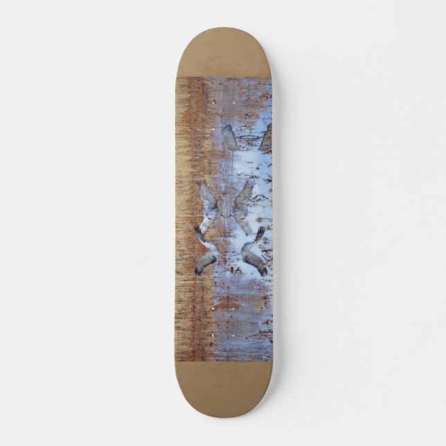 Skateboard Sandhill tend le cou la planche à roulettes de (Devant)