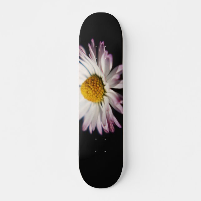 Skateboard Sdcnm de marguerite commune (Devant)