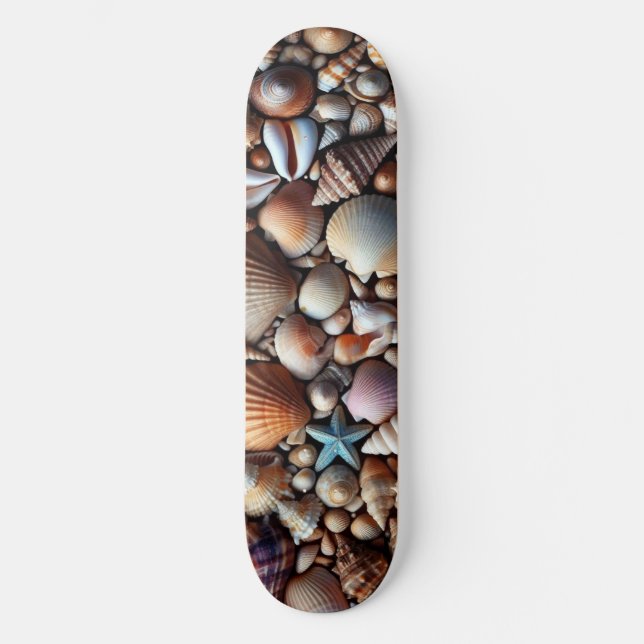 Skateboard Sea Shells (Recto)