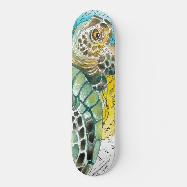 Skateboard Sea Turtle Watercolor (Recto)