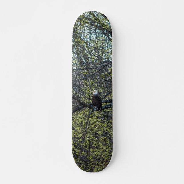 Skateboard Sensibilisation aux aigles (Devant)