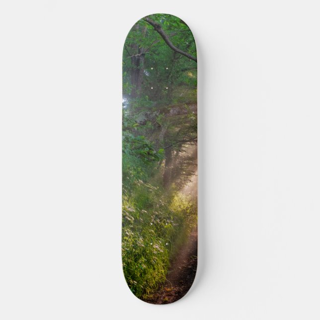 Skateboard sentier forestier (Recto)