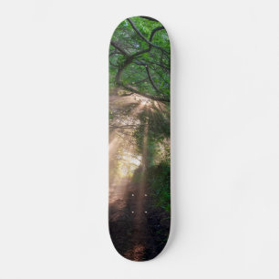 Skateboard sentier forestier