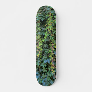 Skateboard Serene Green Ivy Wall Suspendre Vins Plantes Feuil