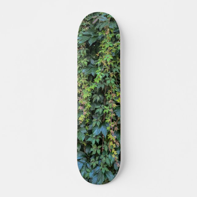 Skateboard Serene Green Ivy Wall Suspendre Vins Plantes Feuil (Devant)