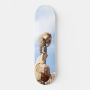 Skateboard Singe babouin au sommet d'une montagne