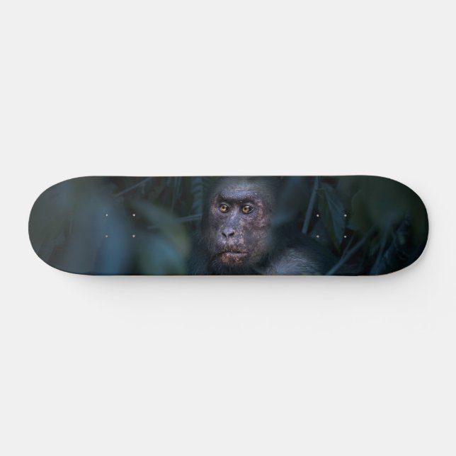 Skateboard Singe dans la jungle (Horz)