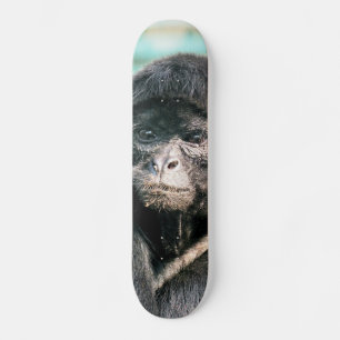 SKATEBOARD SINGES