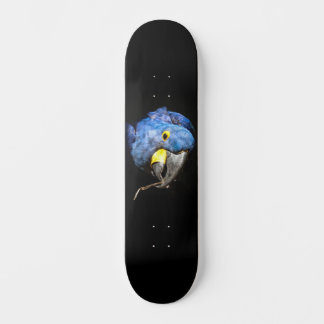 Skateboard Skate Macaw bleu