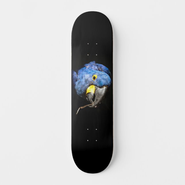 Skateboard Skate Macaw bleu (Recto)