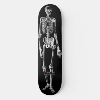Skateboard Skelo 001