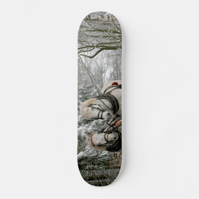 Skateboard Sleigh Ride in the Snowy Forest (Recto)