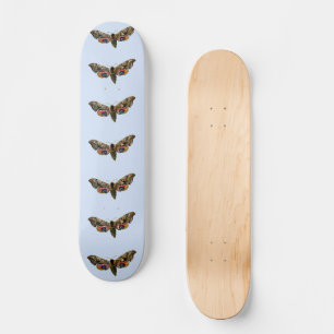 Skateboard Smerinthus ocellata - Image couleur faucon-teint
