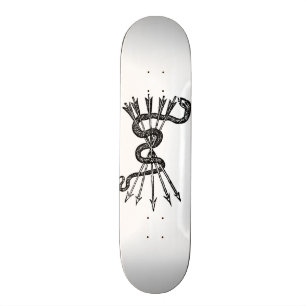 Skateboard Snake et Arrows