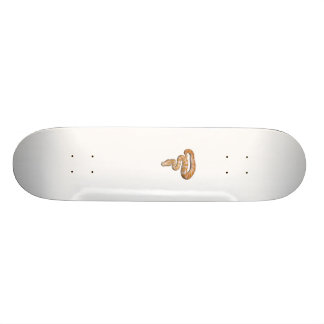 Skateboard SnakeBoard