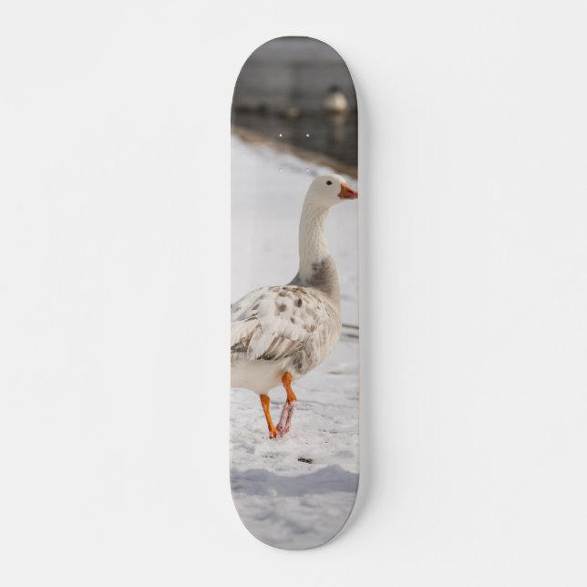 Skateboard Snow Goose Strut (Devant)