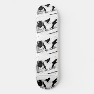 Skateboard Soeurs 1980