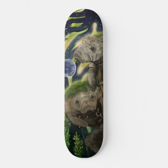 Skateboard Solde fragile Manatee (Recto)