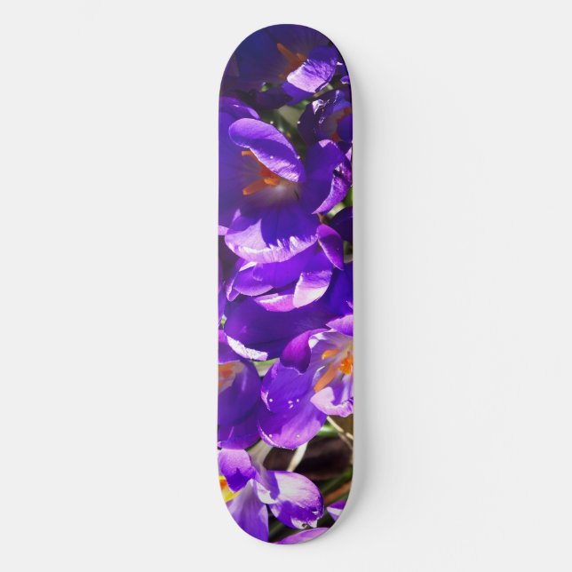 SKATEBOARD SPRING CROCUS (Recto)