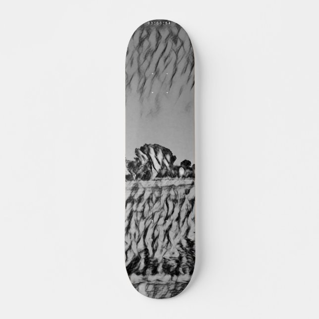 SKATEBOARD STYLE AND DESIGN (Devant)