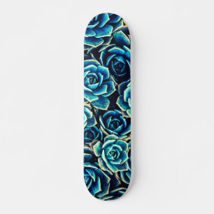 Skateboard Succulents