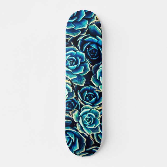Skateboard Succulents (Devant)