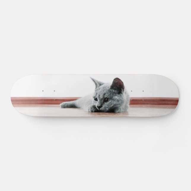 Skateboard Super mignon Scottish Fold Kitten Chat (Horz)