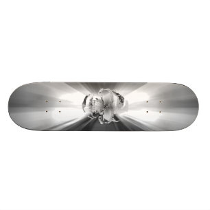 SKATEBOARD SURFER INSTANTANÉ D'ARGENT DE CRÂNE