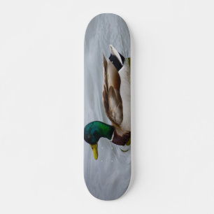 Skateboard Swim Mallard Swim
