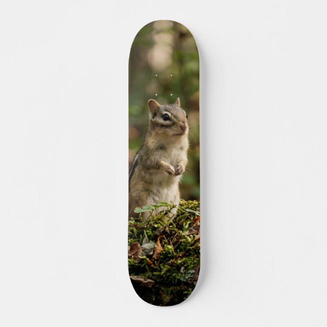 Skateboard Tabla de Skate Ardilla Silvestre Alerta (Devant)