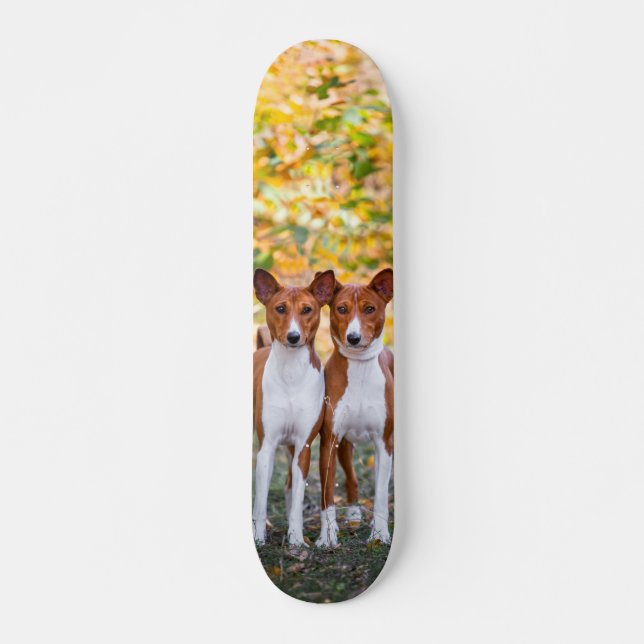 Skateboard Tabla de skate Hermanos caninos vigilando (Devant)