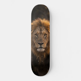 Skateboard Tabla de Skate León Salvaje Rey de la Selva