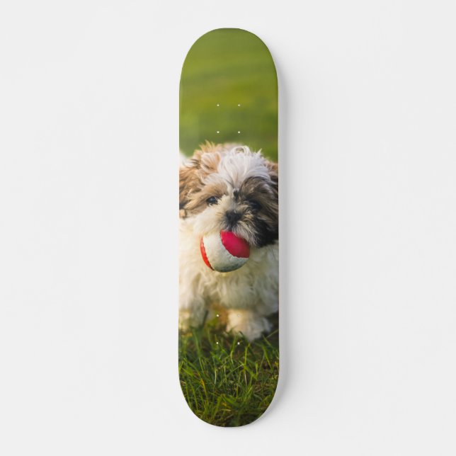Skateboard Tabla de Skate Perrito Peludo con su pelota (Devant)