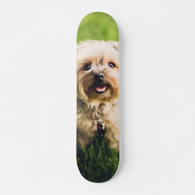 Skateboard Tabla de Skate Perrito Terrier Adorable (Devant)
