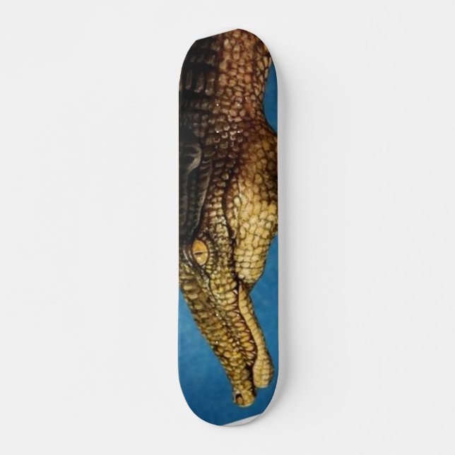 Skateboard Tableau de bord (Devant)