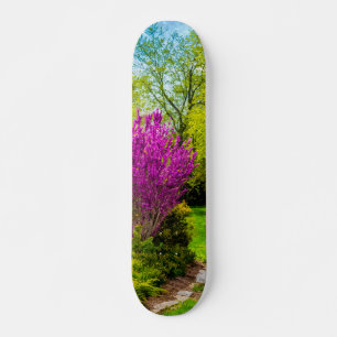 Skateboard Tableau du jour du printemps