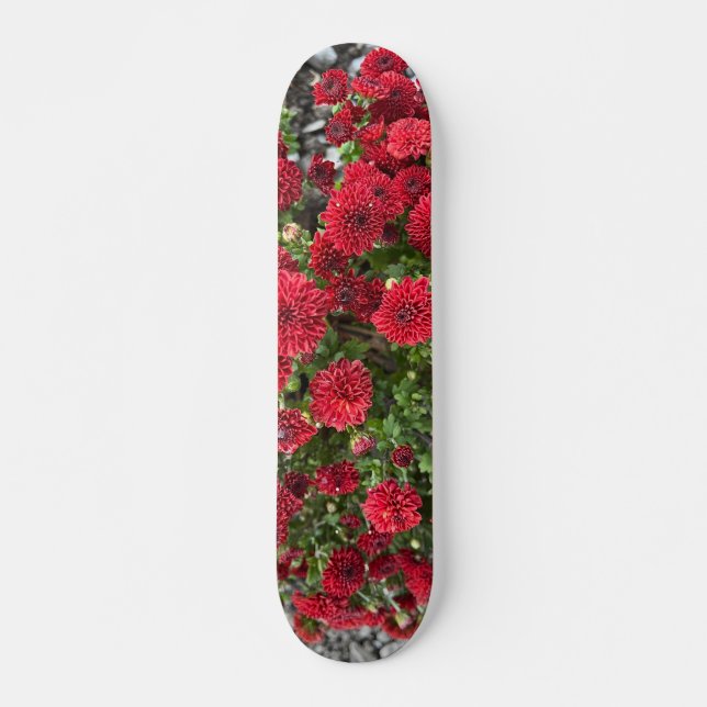 Skateboard tablette (Devant)