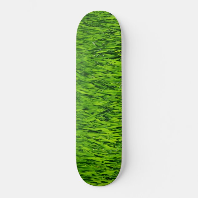Skateboard Tall Blades of Grass (Recto)
