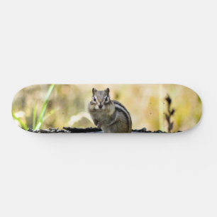 Skateboard Tamia mignonne